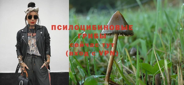 экстази Абаза