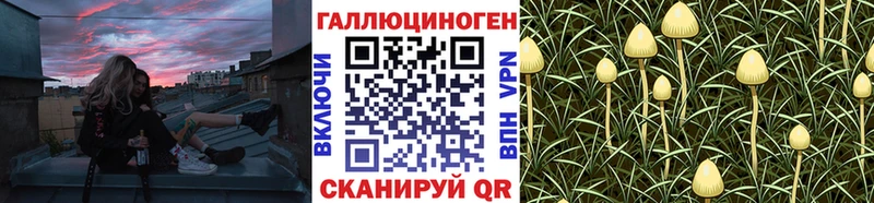 купить   Дербент  Псилоцибиновые грибы Magic Shrooms 